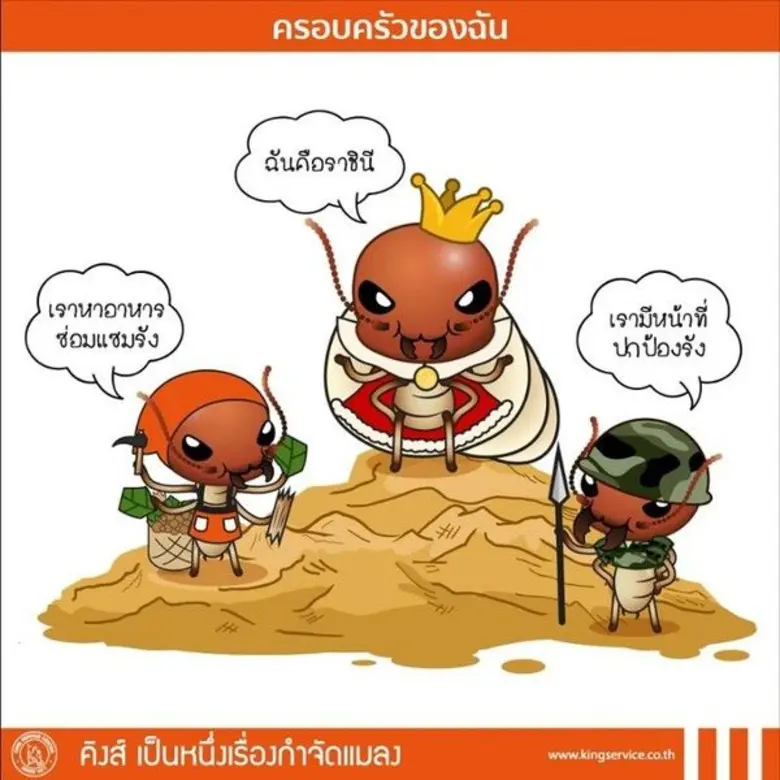ปลวกตัวเล็กแต่ฤทธิ์ร้าย