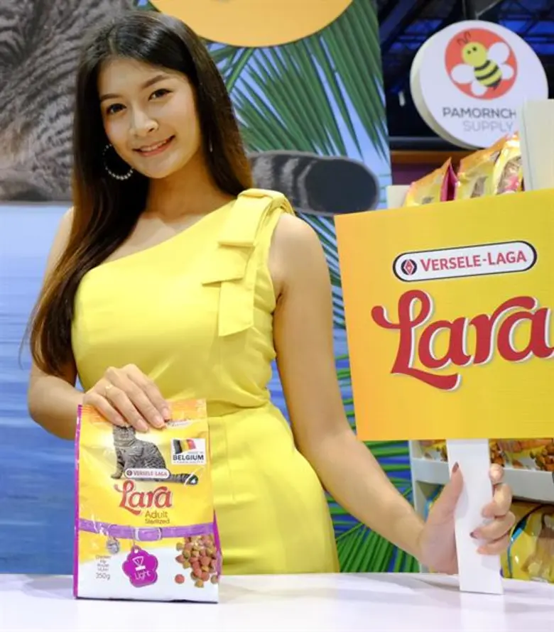 แมวทำหมัน ทำไมถึงสำคัญ!! ข้อควรรู้เกี่ยวกับการทำหมันน้องเหมียว