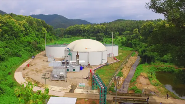 UAC ปลื้มโรงไฟฟ้าชีวภาพ"แม่แตง" คว้ารางวัลดีเด่น Thailand Energy Awards 2019