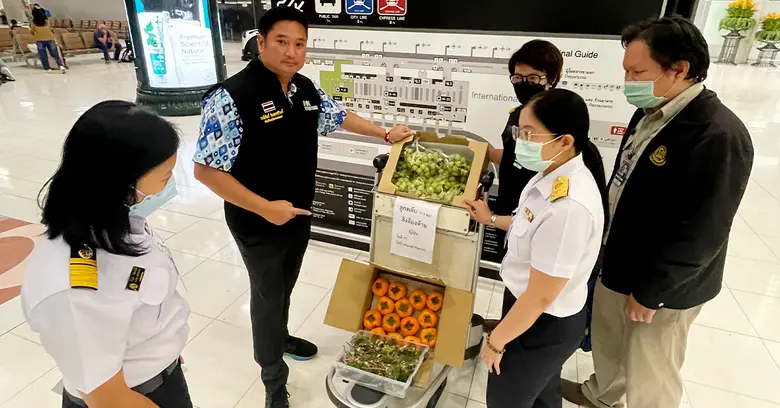 กรมวิชาการเกษตรเตือนนักเดินทางงดซื้อผลไม้สดกลับเป็นของฝากย้ำผิดกฎหมายนำเข้าประเทศต้องสกัดโรคพืชและแมลง