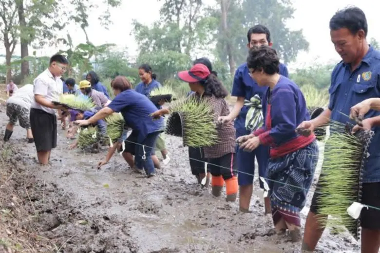 มหาวิทยาลัยธรรมศาสตร์ โดยวิทยาลัยพัฒนศาสต...