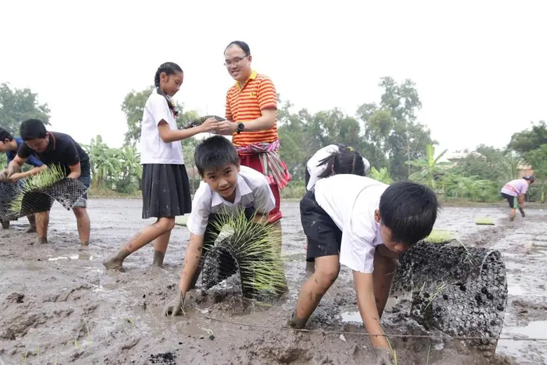 มหาวิทยาลัยธรรมศาสตร์ เปิดแปลงนาสาธิตรับว...