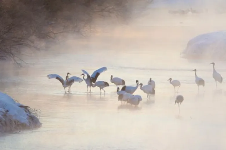 อดีต รมว.ทส. โชว์สุดยอดผลงานภาพถ่ายสัตว์ป่าเขตร้อน ในนิทรรศการ “Wing & Wildlife: ปีกและพงไพร สายใยแห่งป่าเขตร้อน” ณ จัตุรัสวิทยาศาสตร์ อพวช. อาคารจัตุรัสจามจุรี ชั้น 4 กรุงเทพฯ