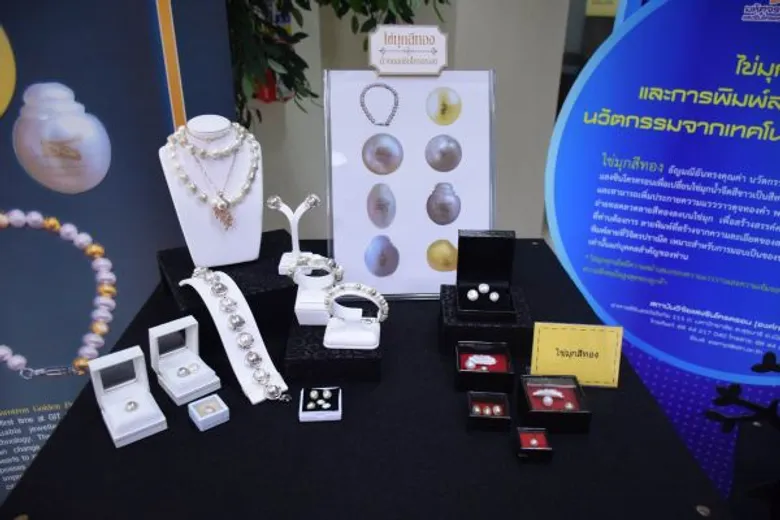 สถาบันวิจัยแสงซินโครตรอน (องค์การมหาชน) จัดงานใหญ่ Thailand Synchrotron Conference & Exhibition เปิดเวทีระดมสมอง ชูแสงซินโครตรอน ตอบโจทย์ภาคอุตสาหกรรม เพิ่มขีดความสามารถเอสเอ็มอีและผู้ประกอบการหน้าใหม่
