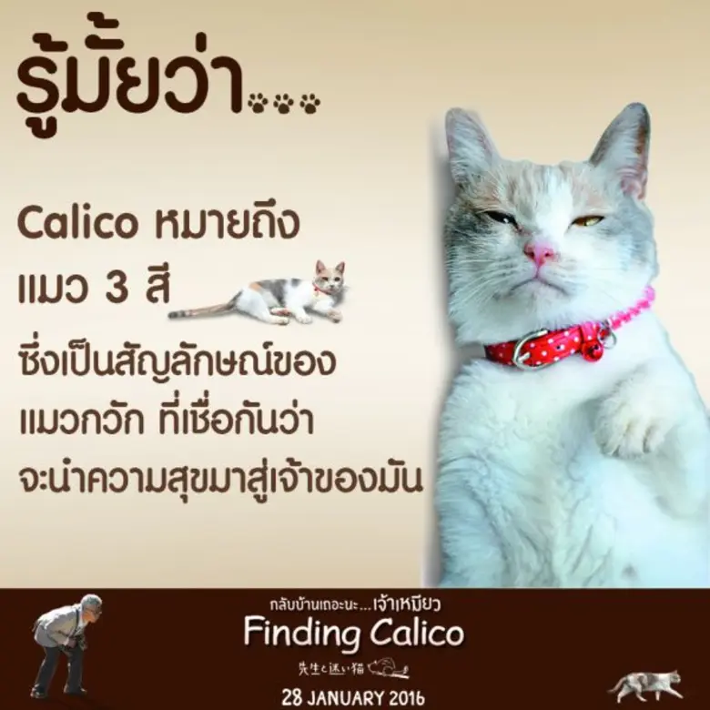 มงคลภาพยนตร์เตรียมนำภาพยนตร์สุดประทับใจจา...