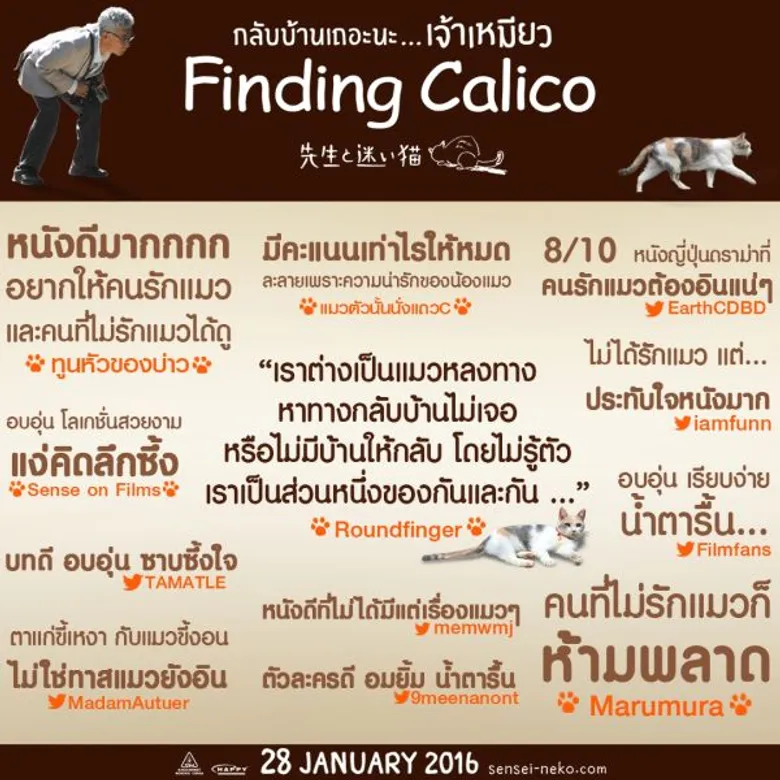 Movie Guide: อิสเซย์ โองาตะ และ โชตะ โซเมะตานิ จาก ปรสิต เพื่อนรักเขมือบโลกนำทีมร่วมออกตามหา เจ้าเหมียว ขี้น้อยใจ ที่ชอบหนีออกจากบ้านในภาพยนตร์สุดน่ารัก Finding Calico ..กลับบ้านเถอะนะ .... เจ้าเหมียว