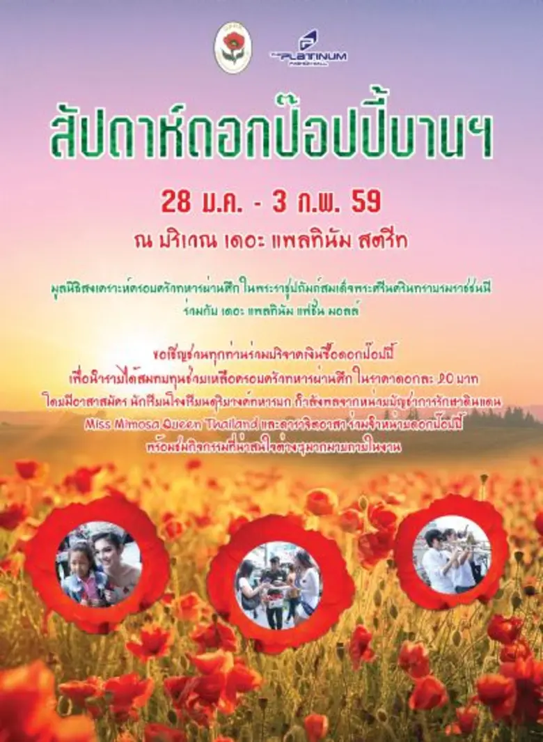สัปดาห์ดอกป๊อปปี้บาน 2016 วันที่ 28 มกราคม  – 3 กุมภาพันธ์ 2559