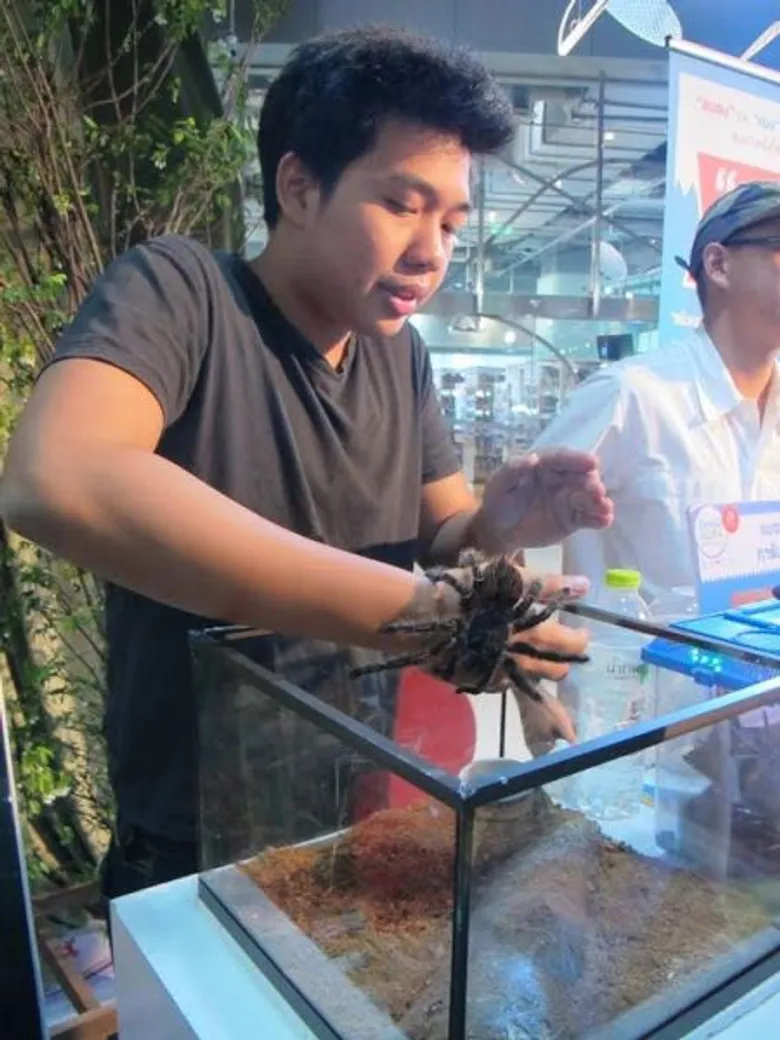 ตะลึง !!! แมลงยกทัพบุก TK park ในนิทรรศการ “โลกของแมลง” A Bug’s Life