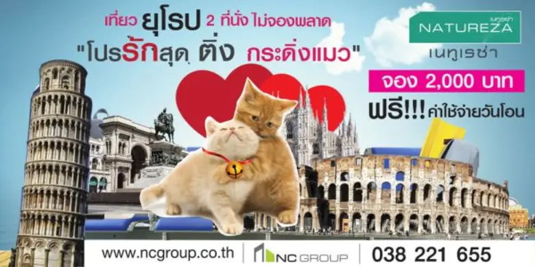 บริษัท เอ็น.ซี. เฮ้าส์ซิ่ง จำกัด (มหาชน) ...