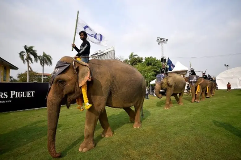 เปิดฉากการแข่งขันโปโลช้างชิงถ้วยพระราชทานพระบาทสมเด็จพระเจ้าอยู่หัว ครั้งที่ 14