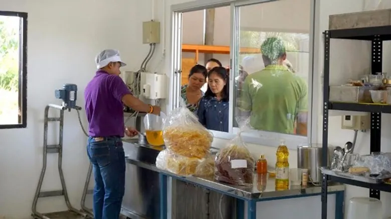 ราชภัฏโคราช บริการวิชาการ อบรมและศึกษาดูงาน หลักสูตรการทำธุรกิจการเพาะต้นอ่อนทานตะวัน
