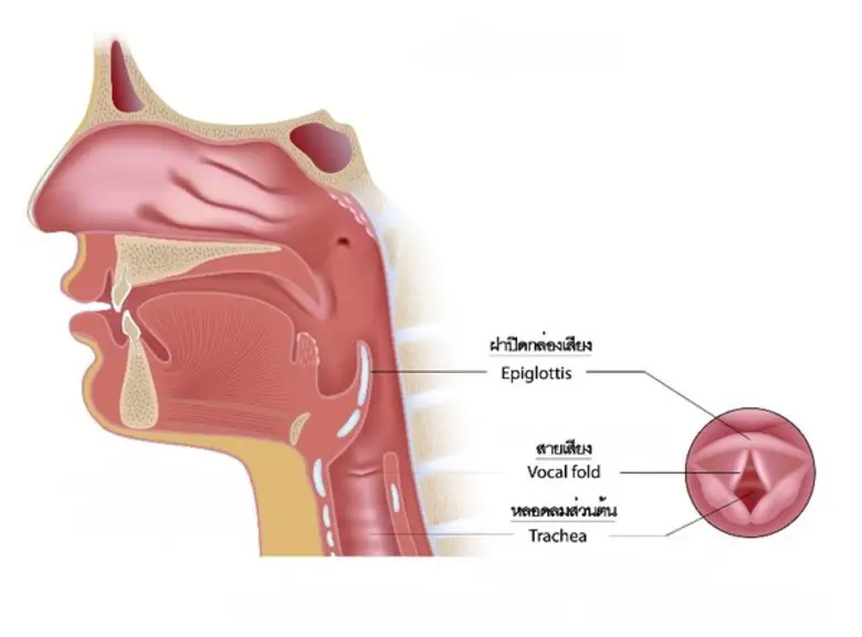 บทความสุขภาพ อย่าให้เสียงคุณเปลี่ยนไป เมื...