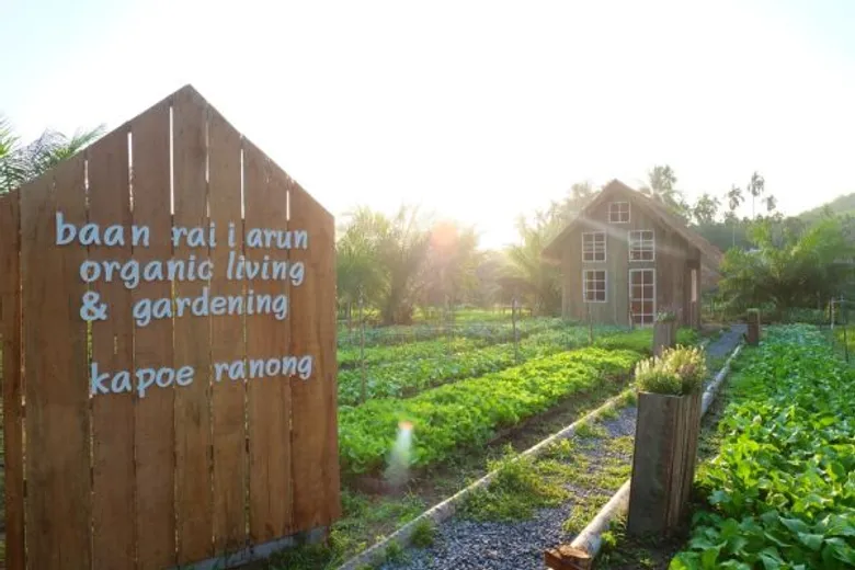 เบสท์ บ้านไร่ ไออรุณ farmstay จากชีวิตสถาปนิกสู่ชีวิตเกษตรกร ที่สามารถออกแบบได้
