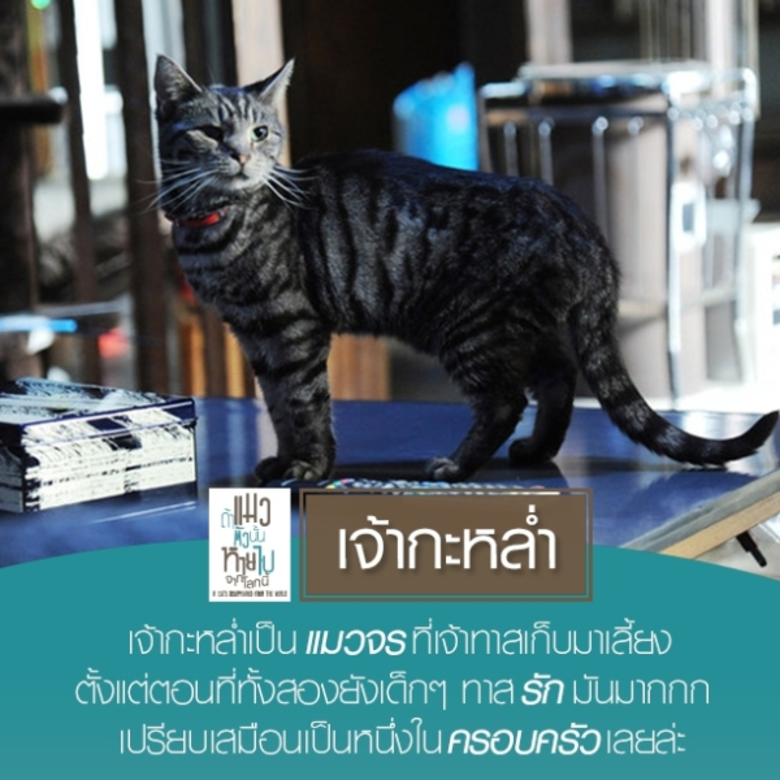 ผมตัดสินใจ ลบ เพื่ออยู่ ผมเป็นบุรุษไปรษณีย์ ที่กำลั...