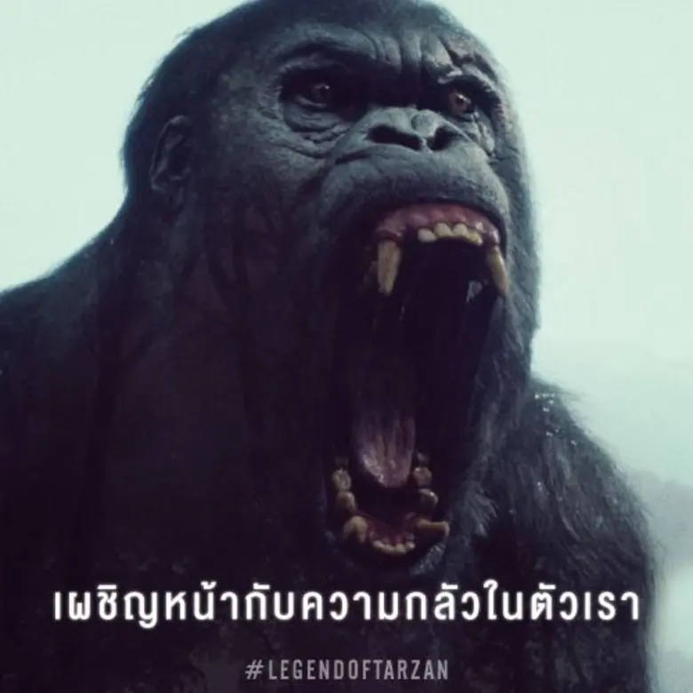 อีกไม่นานเกินรอเตรียมพบกับภาพยนตร์แอ็คชั่...