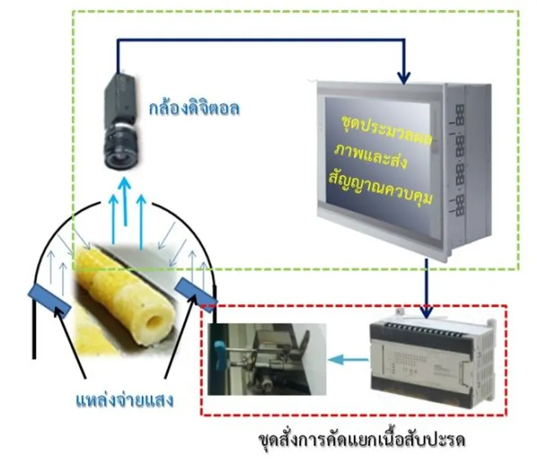 นักวิจัย มทร.ธัญบุรี ประดิษฐ์เครื่องต้นแบบคัดแยกสีเนื้อสับปะรด ด้วยการประมวลผลภาพ