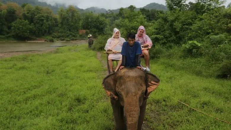 ทีวีไกด์: รายการ "สมุดโคจร On The Way" จ๊อบ นิธิ กับการเดินทางสุดแอดเวนเจอร์ Elephant Trekking ใน สมุดโคจร On The Way