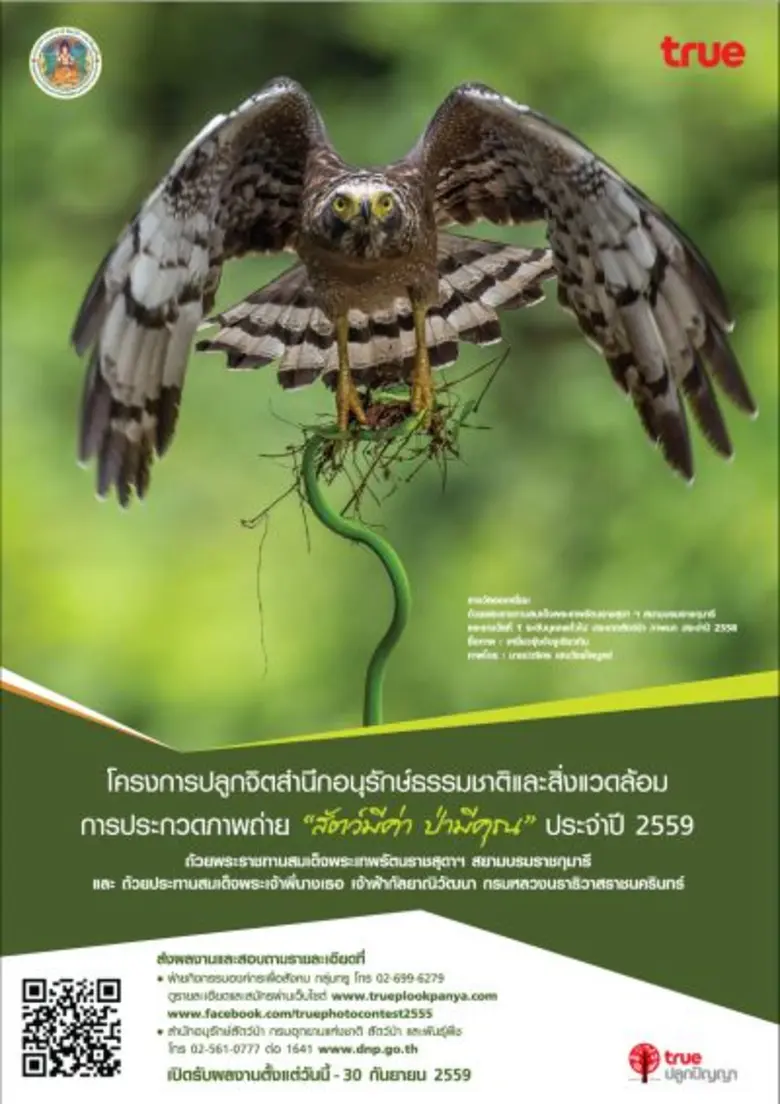 กลุ่มทรู โดย ทรูปลูกปัญญา และ กรมอุทยานแห...