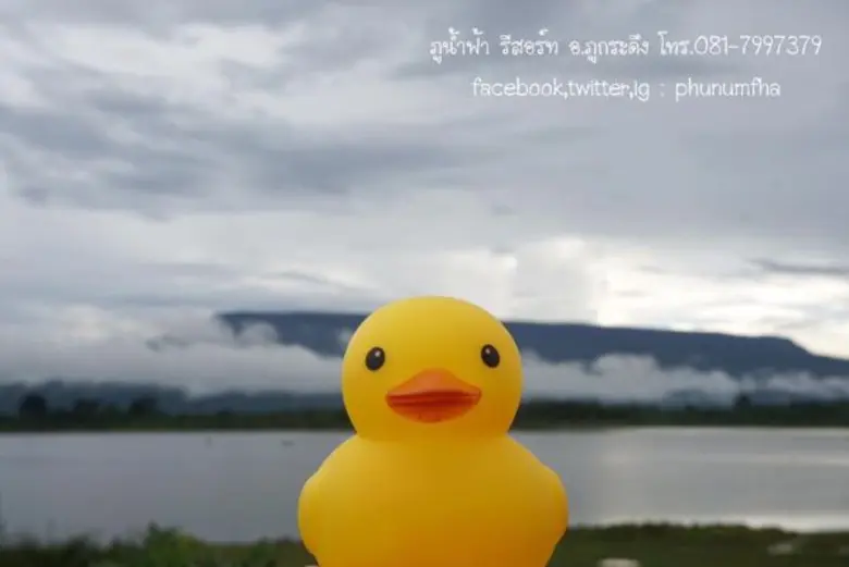 พาของเล่นไปเที่ยวที่ “ภูน้ำฟ้า รีสอร์ท” ว่ากันว่าความสุขอยู่รอบตัวเราเสมอ...