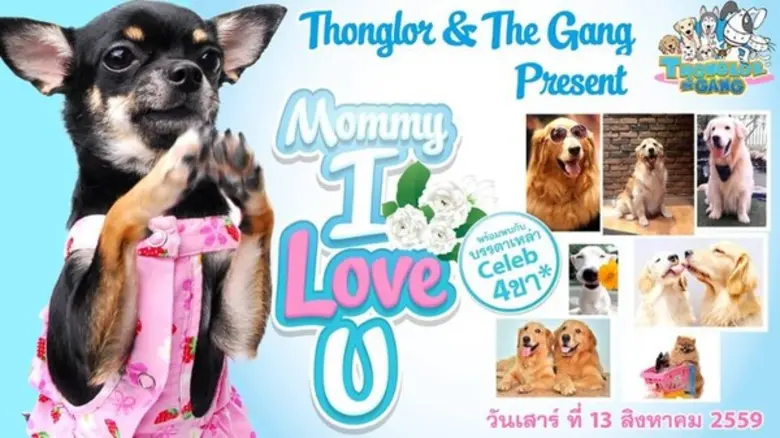 กลับมาอีกครั้งกับ Thonglor & The Gang @ C...