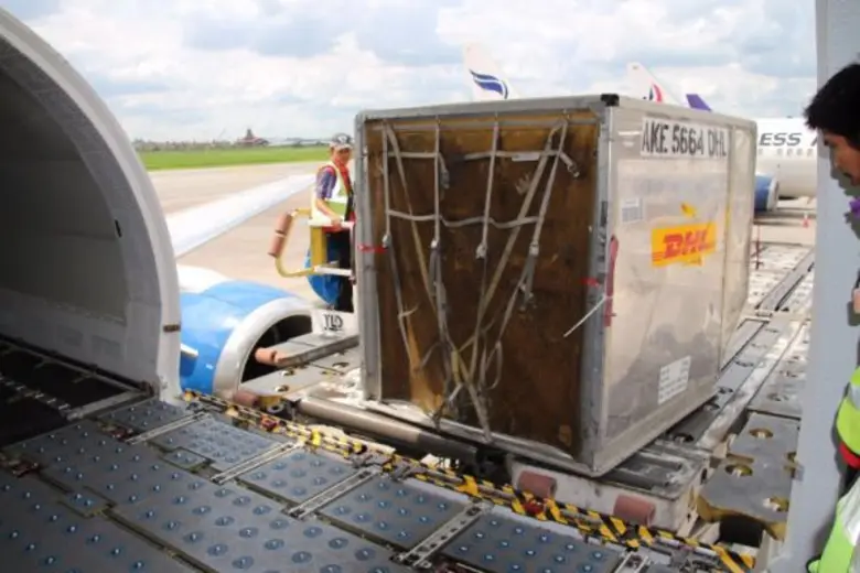 เส้นทางขนส่งทางอากาศใหม่จะช่วยยกระดับศูนย...