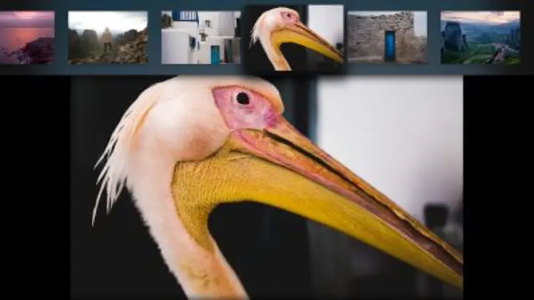 อะโดบีปล่อยอัพเดทครั้งใหญ่ Lightroom สำหรับโมบายล์ ทั้งบนระบบปฏิบัติการ iOS และ Andriod