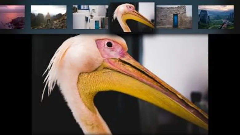อะโดบีปล่อยอัพเดทครั้งใหญ่ Lightroom สำหรับโมบายล์ ทั้งบนระบบปฏิบัติการ iOS และ Andriod