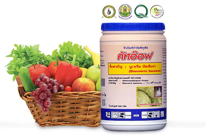 ชมรมเกษตรปลอดสารพิษภายใต้ บริษัท ไทยกรีน ...