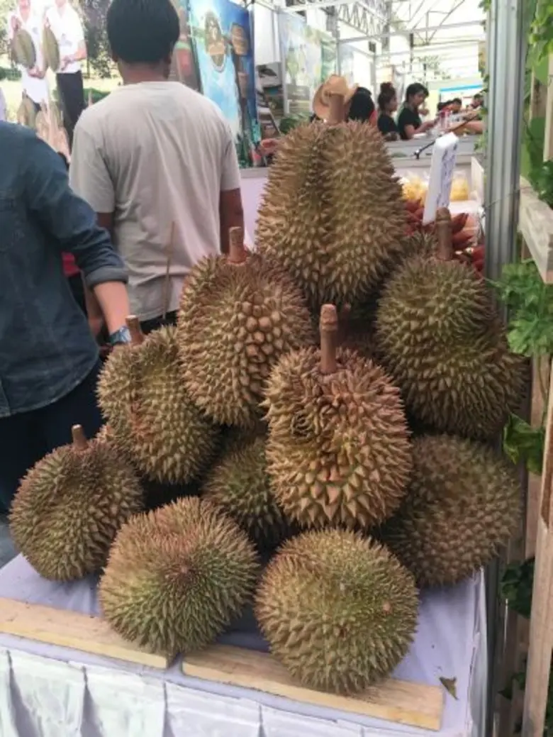 ผลไม้สหกรณ์จังหวัดระยองฮิตติดตลาดข้างทำเนียบ สั่งขนทุเรียนมาสำรองให้เพียงพอความต้องการผู้บริโภคถึง 25 กันยายนนี้