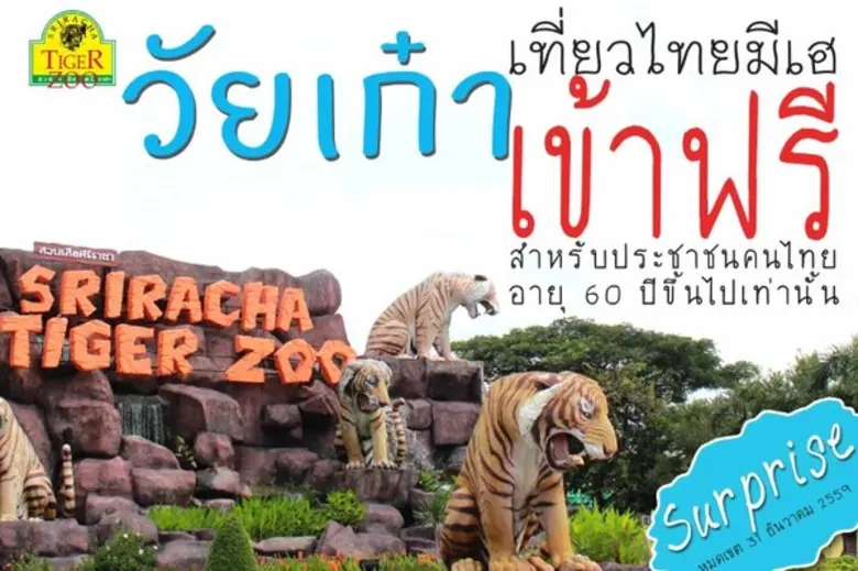 "วัยเก๋า เข้าให้เข้าฟรี " สวนเสือศรีราชาต...