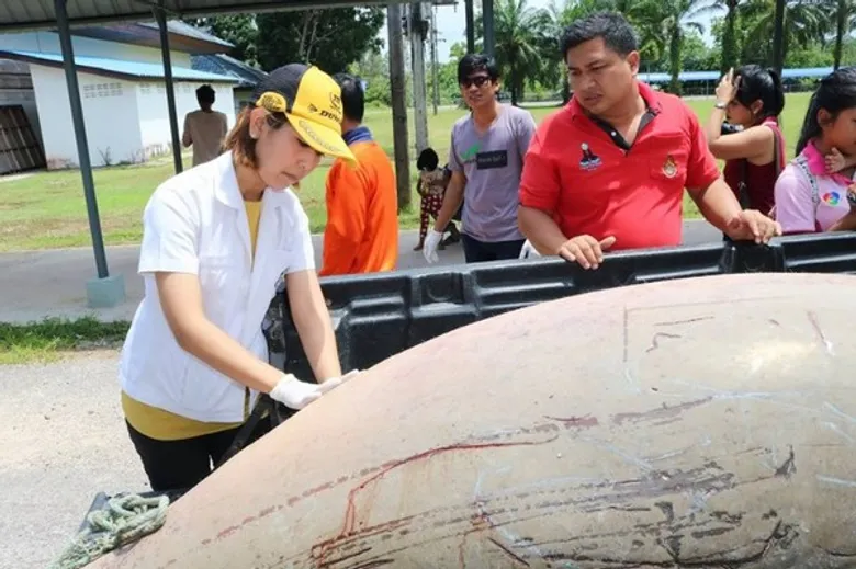 เจ้าหน้าที่ของสถาบันทรัพยากรธรรมชาติและสิ่งแวดล้อม มทร.ตรัง รับซากพะยูน