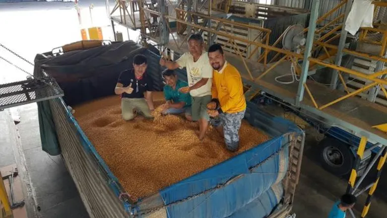 เกษตรกรแห่ขายข้าวโพดที่จุดรับซื้อของ ซีพี พอใจได้ราคาตามคุณภาพและเงื่อนไขดีกว่า