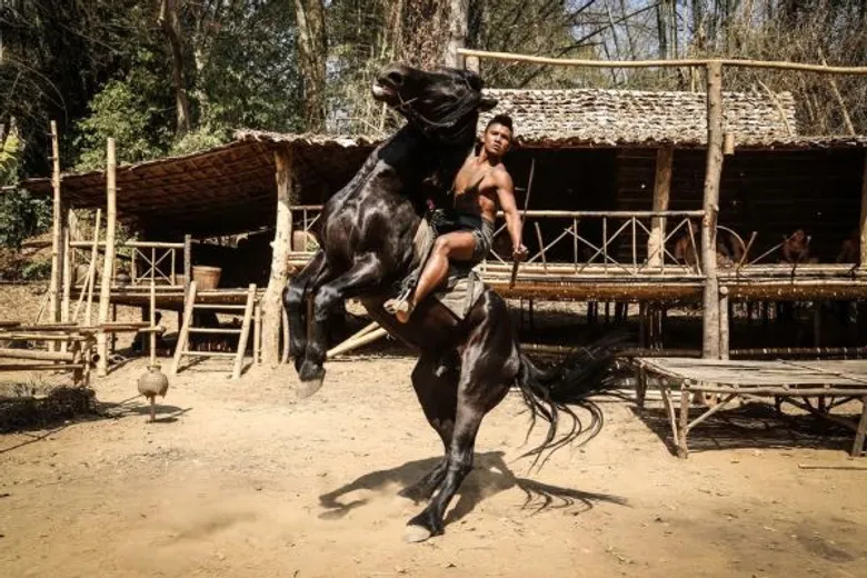 Movie: ทองดีฟันขาว