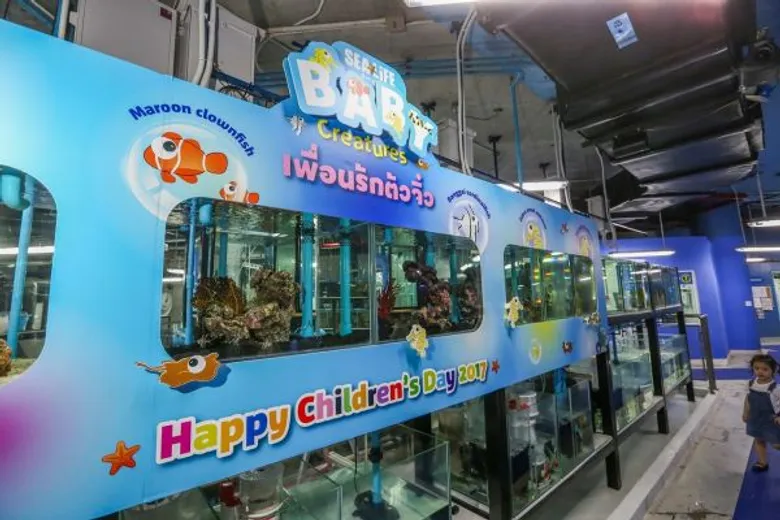 ซีไลฟ์ฯ รับวันเด็ก ชวนสัมผัสสัตว์ทะเลวัยอนุบาล ในแคมเปญ “Baby Creatures...เพื่อนรักตัวจิ๋ว”