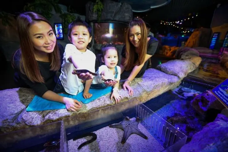 ซีไลฟ์ฯ รับวันเด็ก ชวนสัมผัสสัตว์ทะเลวัยอนุบาล ในแคมเปญ “Baby Creatures...เพื่อนรักตัวจิ๋ว”