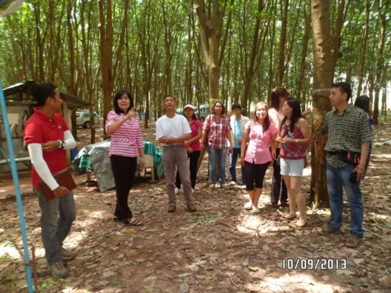 กยท. ร่วมกับ ม.เกษตรศาสตร์ ม.สงขลานครินทร์ และ CIRAD ลงนาม MOU ทางวิชาการด้านยางพารา ฉบับที่ 3 มุ่งสร้างนวัตกรรมและยกระดับคุณภาพผลผลิต พัฒนานักวิจัยด้านยางพารา