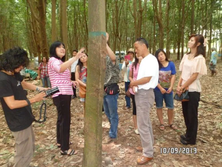 กยท. ร่วมกับ ม.เกษตรศาสตร์ ม.สงขลานครินทร์ และ CIRAD ลงนาม MOU ทางวิชาการด้านยางพารา ฉบับที่ 3 มุ่งสร้างนวัตกรรมและยกระดับคุณภาพผลผลิต พัฒนานักวิจัยด้านยางพารา