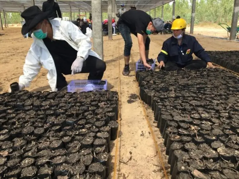 ซีพีเอฟ Kick Off กิจกรรมแรก ในโครงการซีพีเอฟรักษ์นิเวศ ลุ่มน้ำป่าสัก เขาพระยาเดินธง  หลังจับมือ กรมป่าไม้ อบก. และ BEDO อนุรักษ์ฟื้นฟูป่าต้นน้ำยั่งยืน