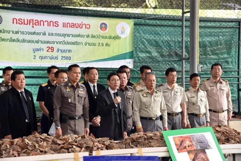กรมศุลกากร สำนักงานตำรวจแห่งชาติ และกรมอุทยานแห่งชาติ สัตว์ป่า และพันธุ์พืช ตรวจยึดเกล็ดลิ่นลักลอบผ่านแดนจากทวีปแอฟริกา จำนวน 2.9 ตัน มูลค่า 29,000,000 บาท
