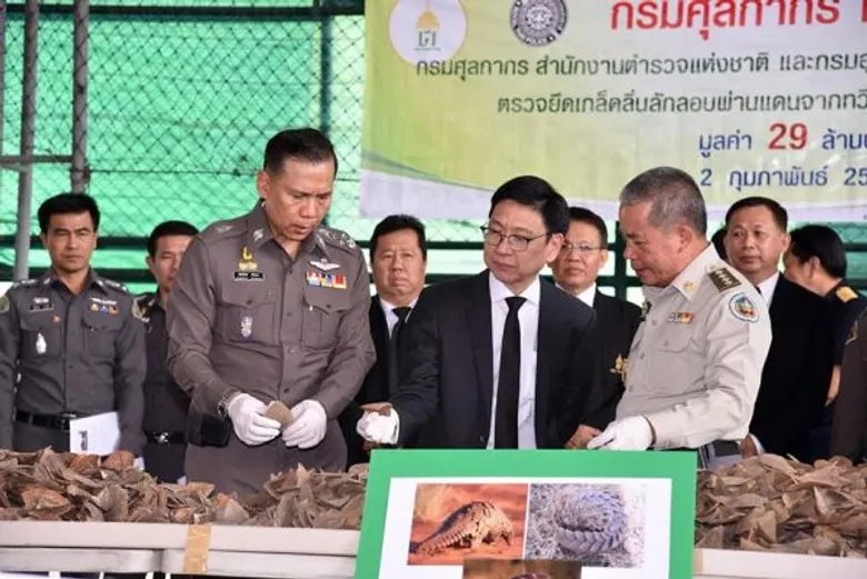 กรมศุลกากร สำนักงานตำรวจแห่งชาติ และกรมอุทยานแห่งชาติ สัตว์ป่า และพันธุ์พืช ตรวจยึดเกล็ดลิ่นลักลอบผ่านแดนจากทวีปแอฟริกา จำนวน 2.9 ตัน มูลค่า 29,000,000 บาท