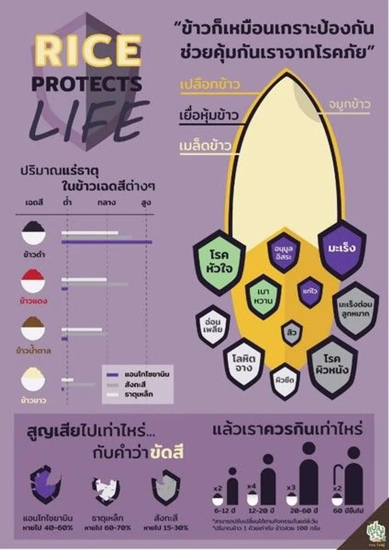 สกว. ประกาศผลสุดยอดนักสร้างสรรค์สื่ออินโฟกราฟิก และโมชั่นกราฟิก ในโครงการประลองไอเดียสร้างสรรค์สังคม 'วิจัยแปลงร่าง 2 ตอน กินอยู่’ ได้ที่สุดของเยาวชนนักสร้างสรรค์ย่อยงานวิจัย ต่อยอดสร้างประโยชน์สู่สาธารณะ
