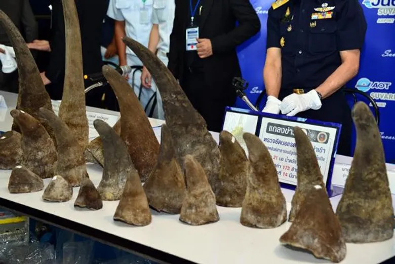 กรมศุลกากร สำนักงานตำรวจแห่งชาติ และกรมอุทยานแห่งชาติ สัตว์ป่า และพันธุ์พืช ตรวจยึดนอแรดลักลอบนำเข้าจาก สหพันธ์สาธารณรัฐประชาธิปไตยเอธิโอเปีย จำนวน 21 นอ น้ำหนักรวม 49.4 กิโลกรัม มูลค่า 173 ล้านบาท