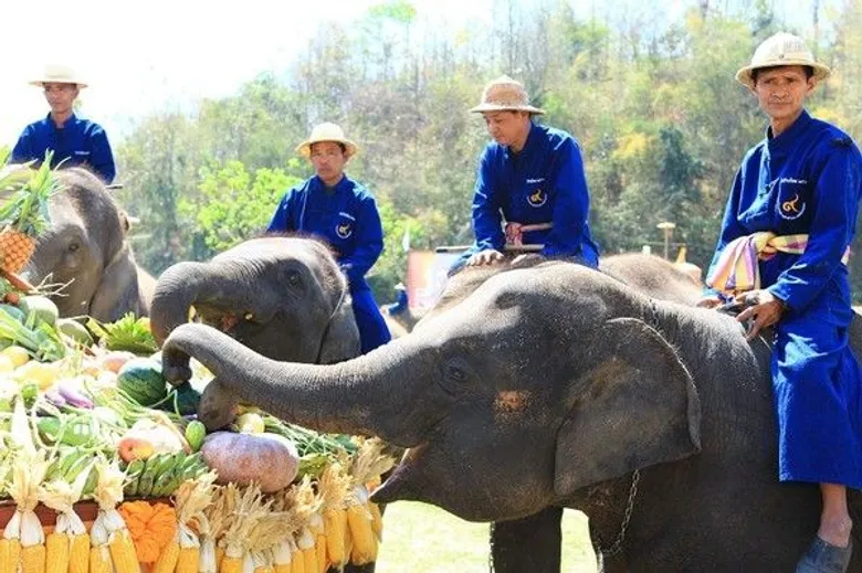 คชบาลร่วมใจ อนุรักษ์ช้างไทย เทิดไท้องค์ภูมิพล
