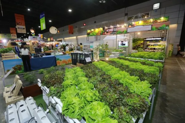 คุ้ม สุข สุด กว่าทุกเทศกาลทั่วไทย เริ่มแล้ว!!! “Homepro EXPO ครั้งที่ 25” มหกรรมเรื่องบ้านตัวจริง 17-26 มี.ค. นี้ อิมแพค เมืองทองธานี ฮอลล์ 5-8