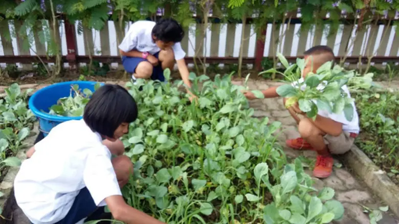 ลาวศึกษาดูงานโครงการยิ่งเท่ ยิ่งน่ารักเพราะกินโปรตีน ผักและผลไม้ ภายใต้การดูแลของมูลนิธิ EDF