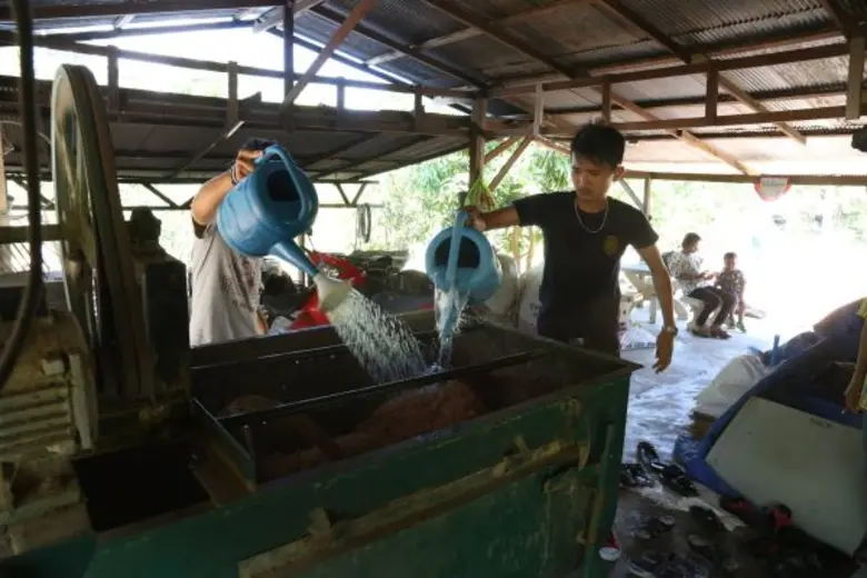 มรภ.สงขลา จัดอบรมเรียนรู้ระบบเกษตรยั่งยืน แนะแนวอาชีพ-ลดการพึ่งพาปัจจัยผลิตภายนอก