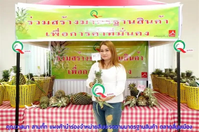 "ตลาดสี่มุมเมือง" เชิญผู้ค้าจำหน่ายสับปะร...