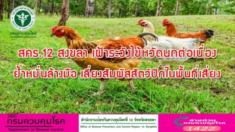สำนักงานป้องกันควบคุมโรค ที่ 12 จังหวัดสง...
