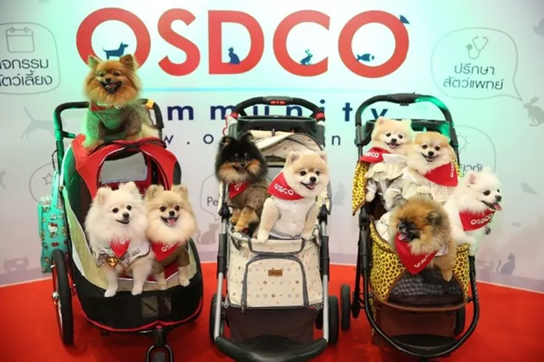“ครั้งแรกกับงานนวัตกรรมการดูแลและสุขภาพสัตว์เลี้ยง” OSDCO Pet Care & Health Expo 2017 Innovative Pet Care