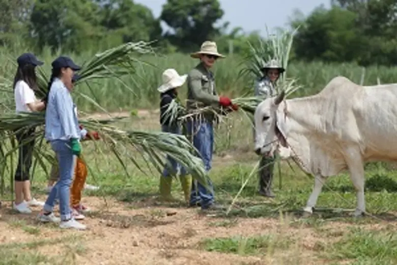 ติดตามชม “เป้-อารักษ์” ร่วมแจม “50ปี TVO ปลูกไร่ปลูกรัก” ในรายการเจาะใจเสาร์นี้
